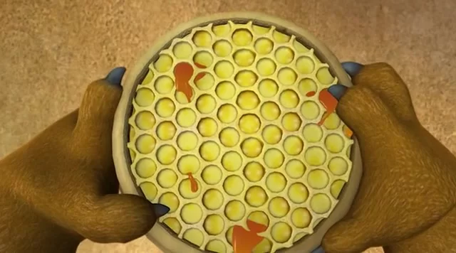 Медведи-соседи (2011) 37 серия