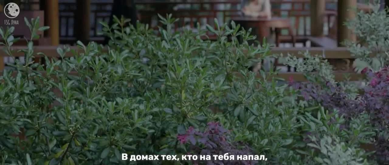 Мечта о процветании (2022) 38 серия