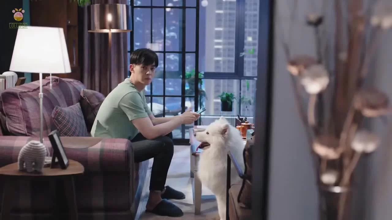 Мое маленькое счастье (2021) 19 серия