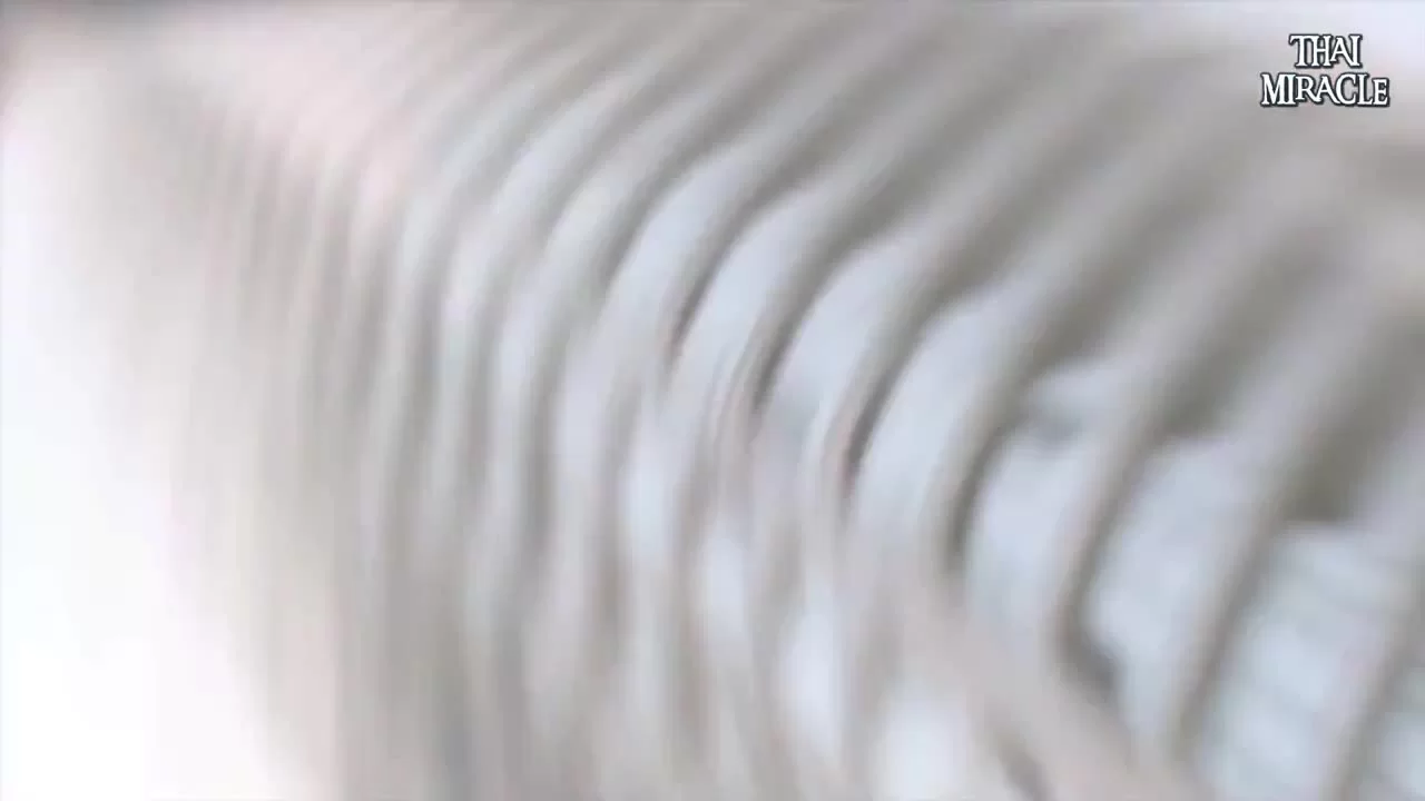 Мой босс хочет жениться на мне (2019) 8 серия