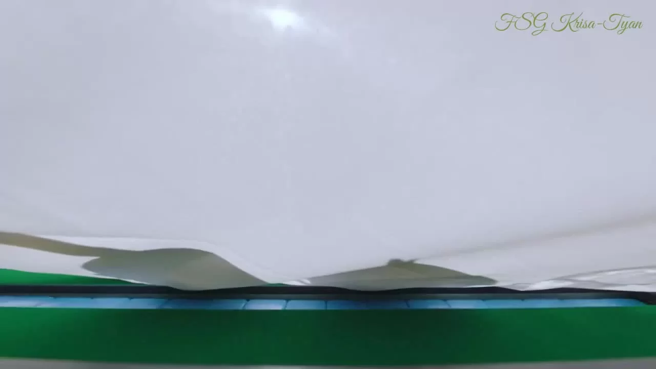 Мой Маугли 47 серия