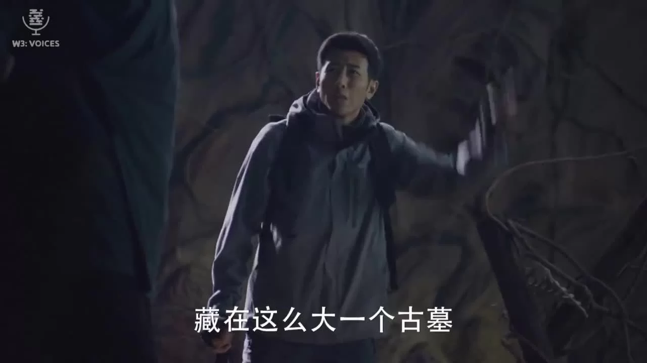 Навстречу опасности 22 серия