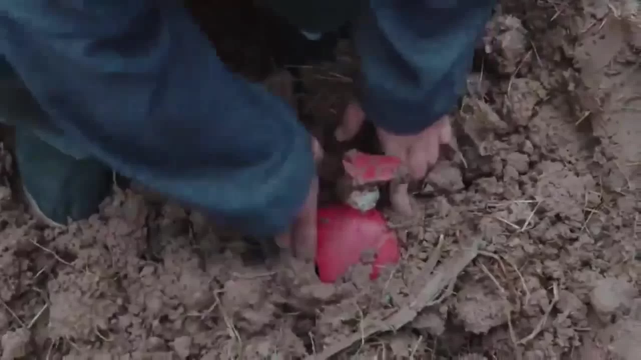 Наполовину солнечно, наполовину дождливо 16 серия