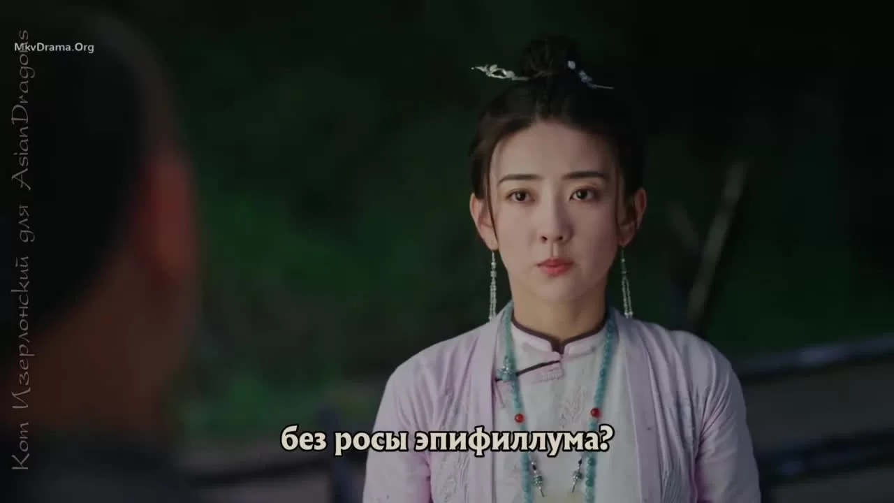 Неофициальная биография Летающего Лиса (2022) 13 серия