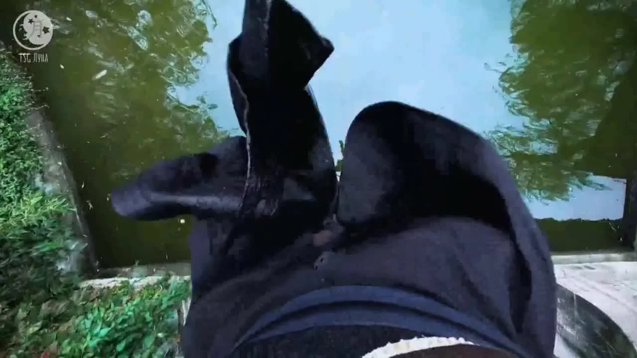 Нефритовое сердце Ши 1 серия