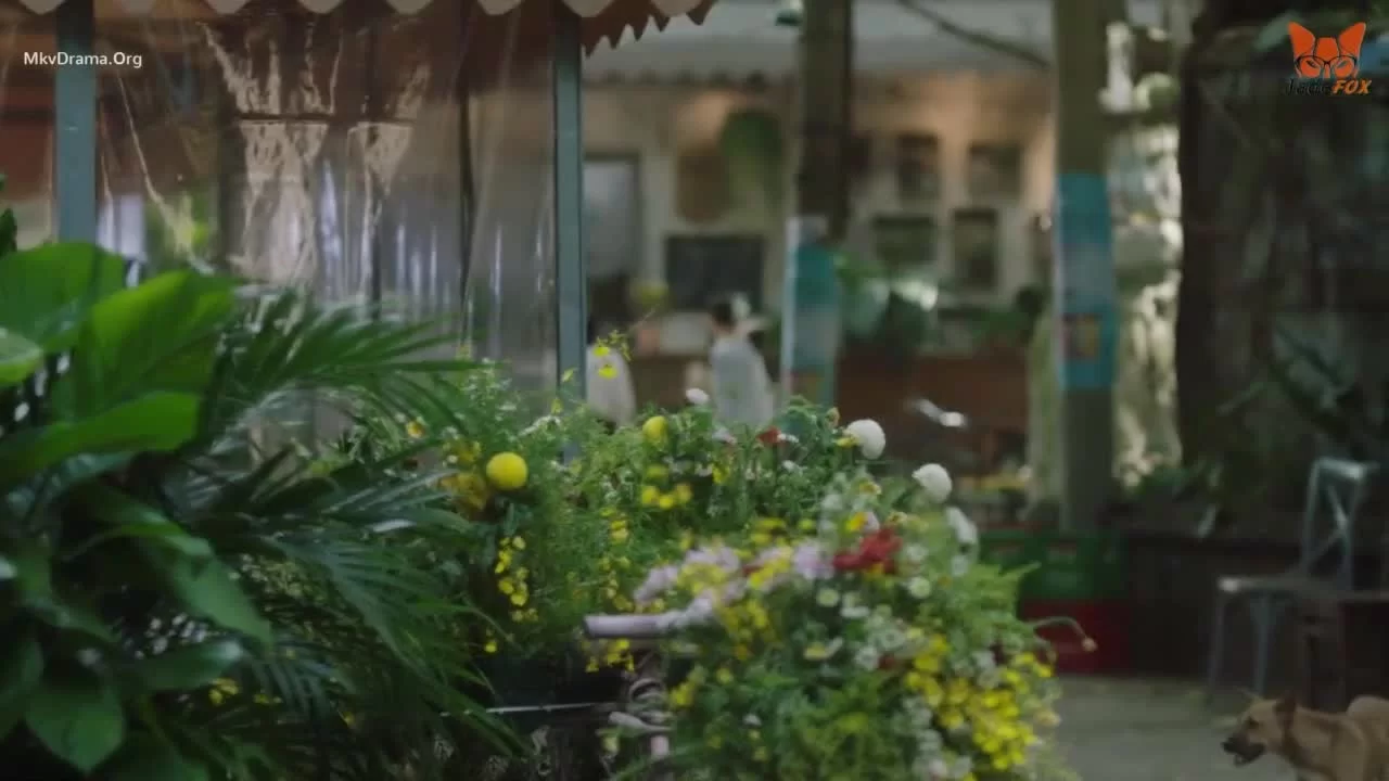 Одинокий зверь (2022) 26 серия