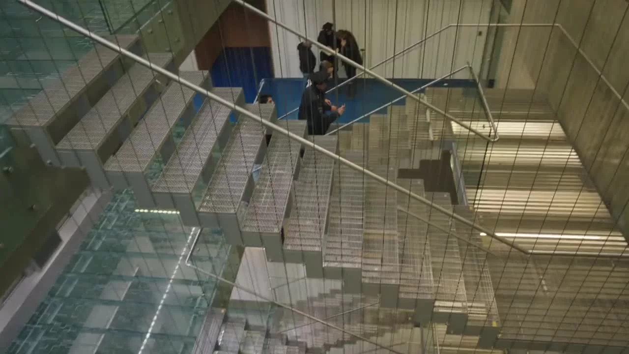 Охота на лис (2020) 31 серия