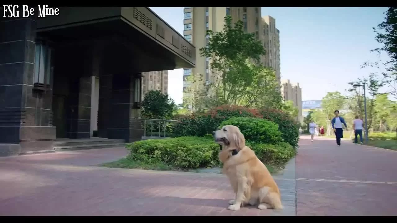 Первая любовь зрелой девушки (2020) 15 серия