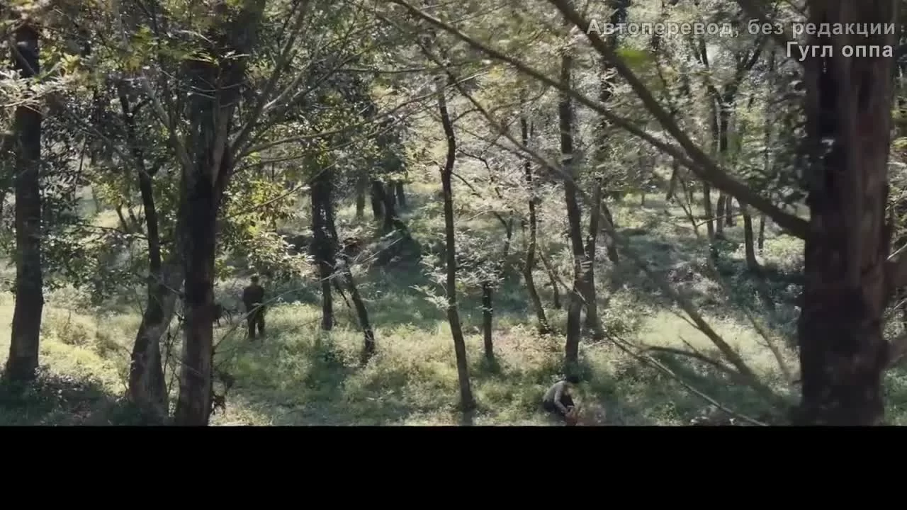 Поднимается буря 19 серия