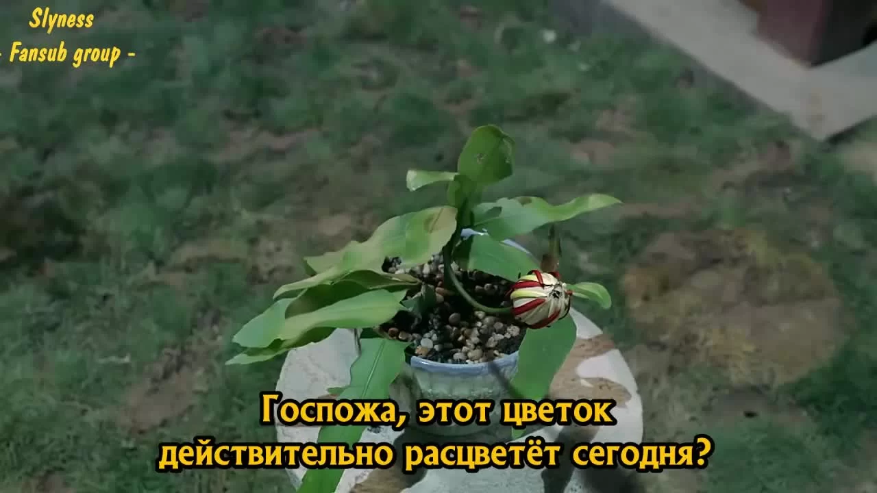 Покорение дворца Яньси 53 серия