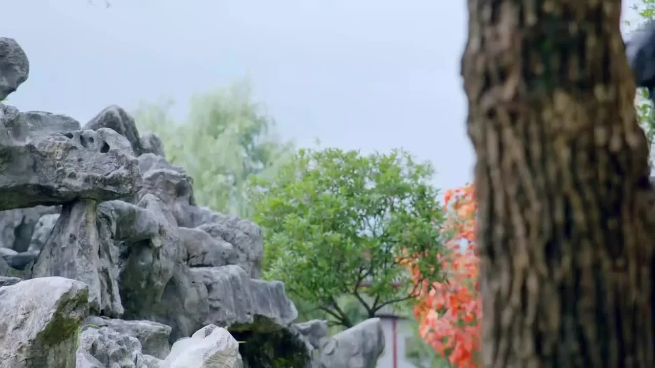 Принцесса - кошка (2020) 1 серия