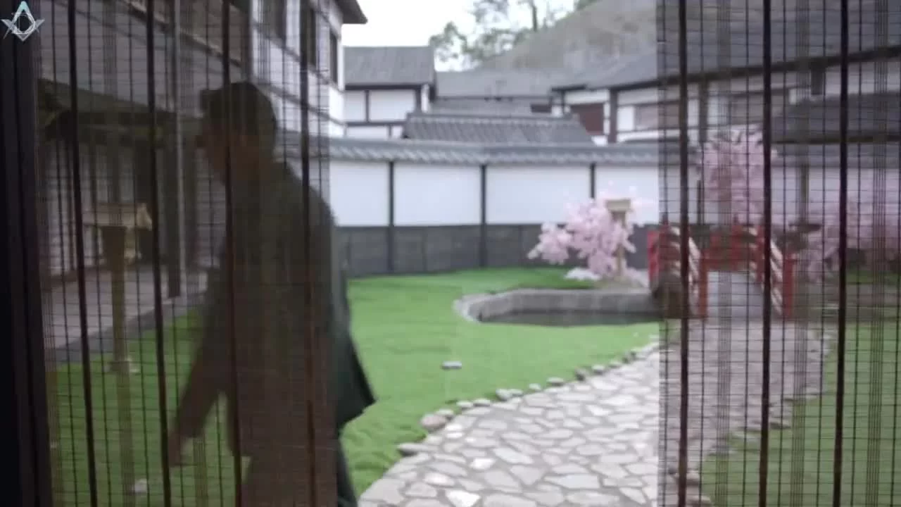 Пробуждение насекомых (2019) 25 серия