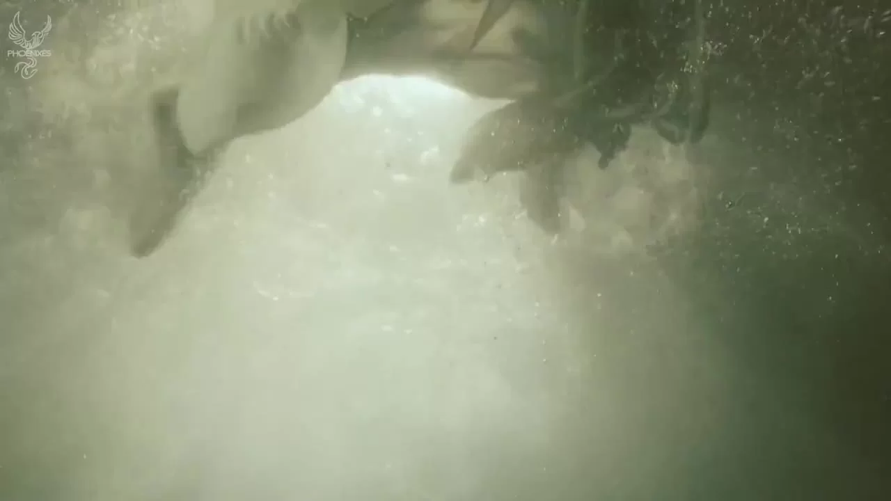 Прощай, моя принцесса (2019) 13 серия