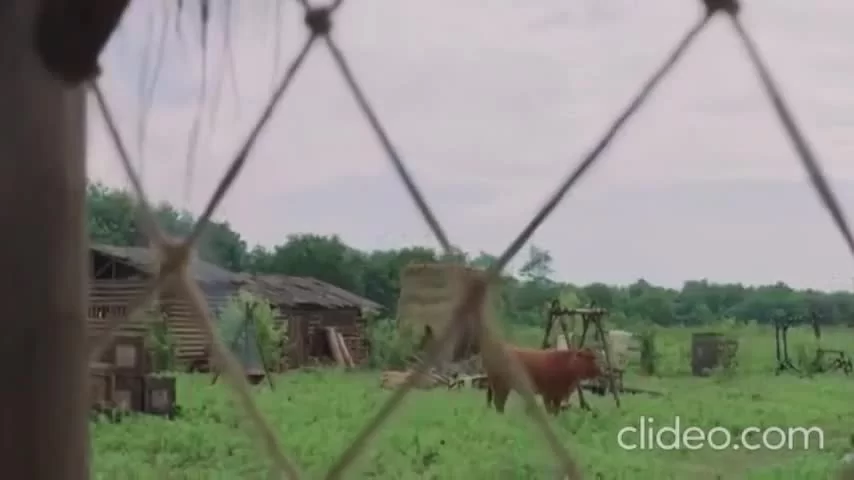 Путешествия Чангэ 22 серия