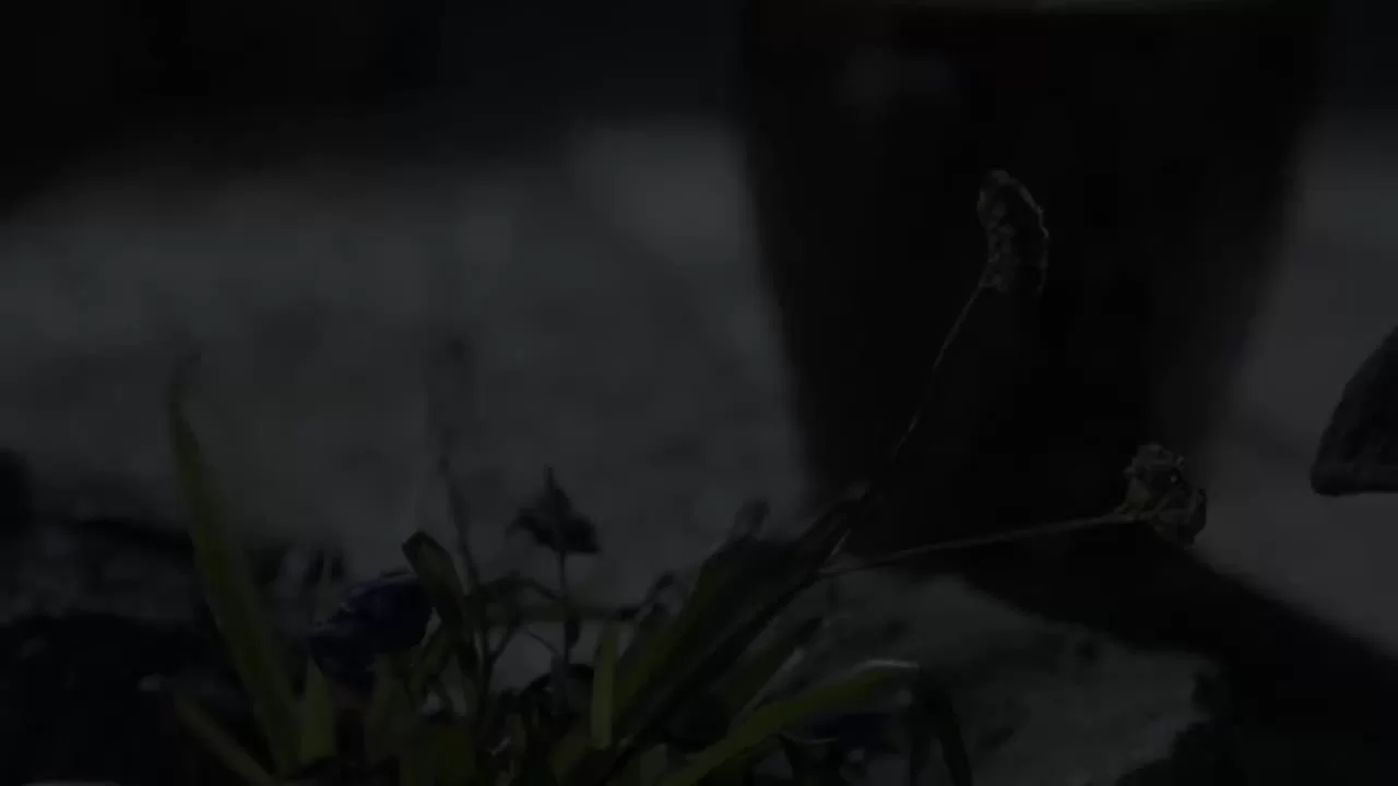 Радость жизни 32 серия