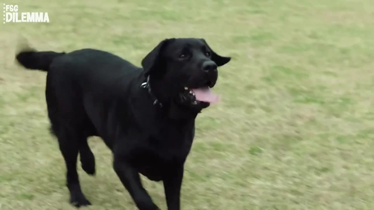 Свидание с будущим (2023) 7 серия