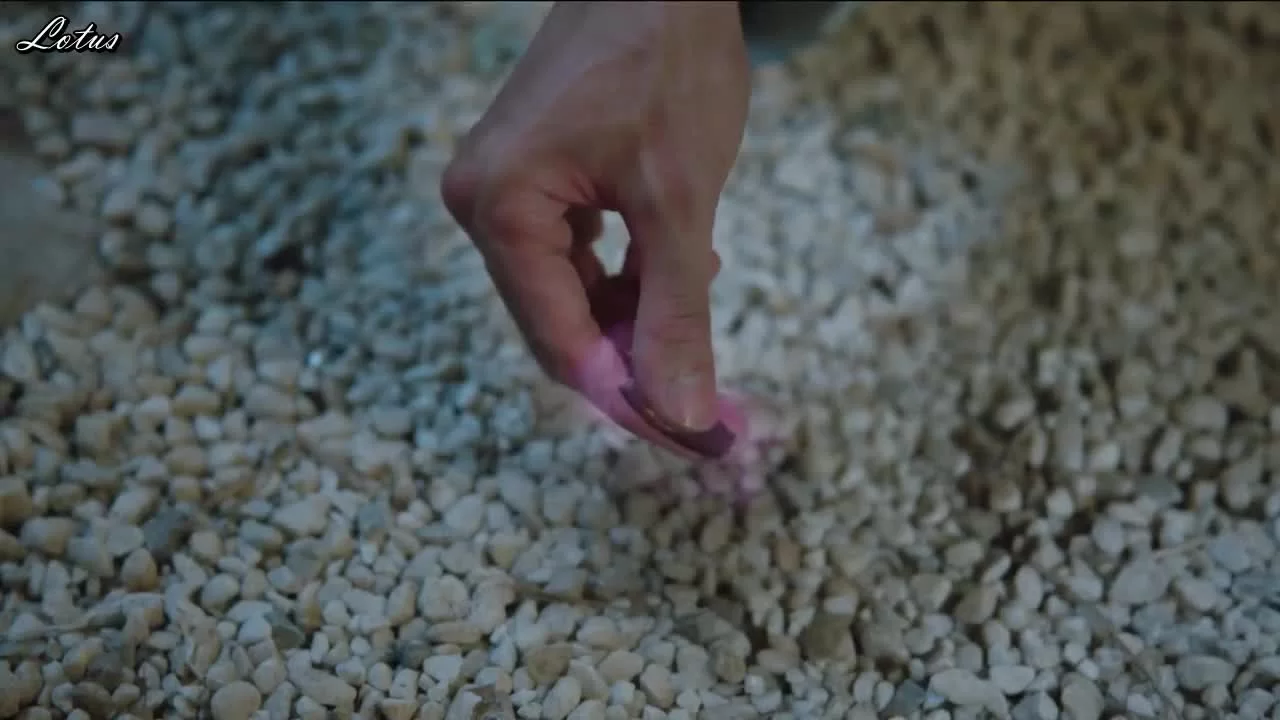 Следуй сценарию! (2021) 36 серия