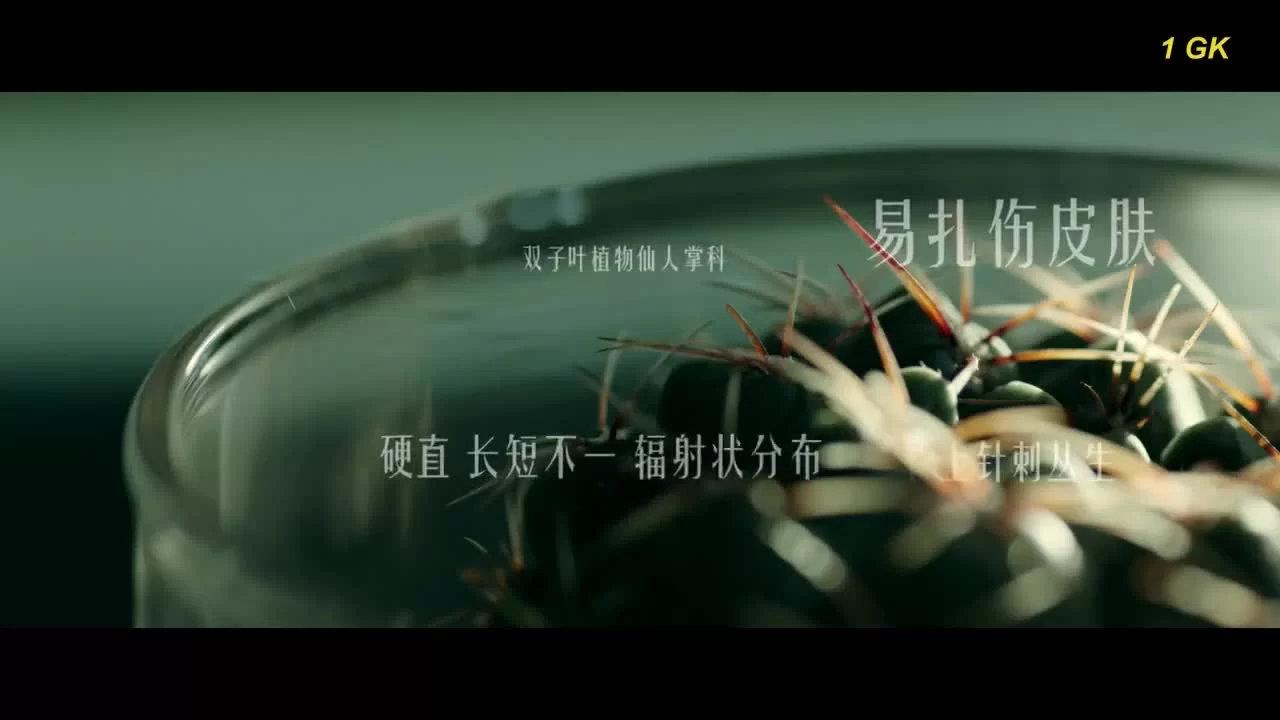 Слушатель (2019) 4 серия