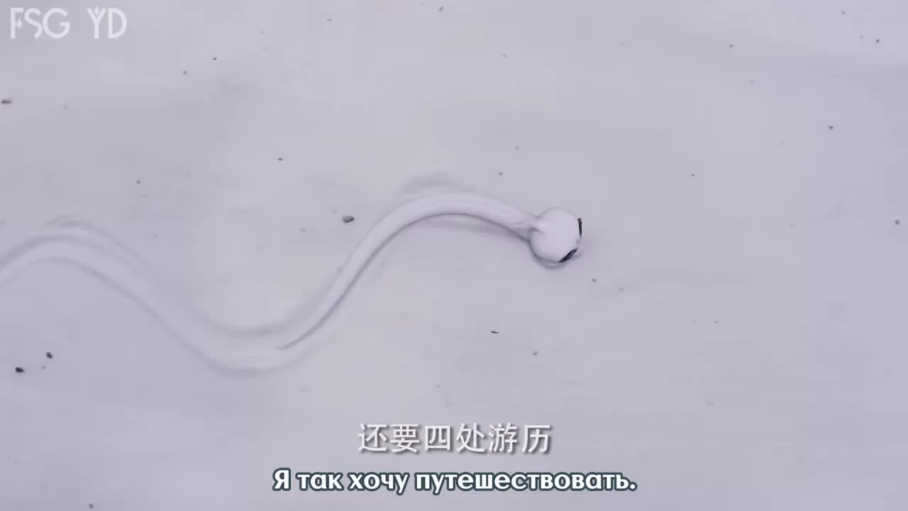 Судьба белой змеи 1 серия