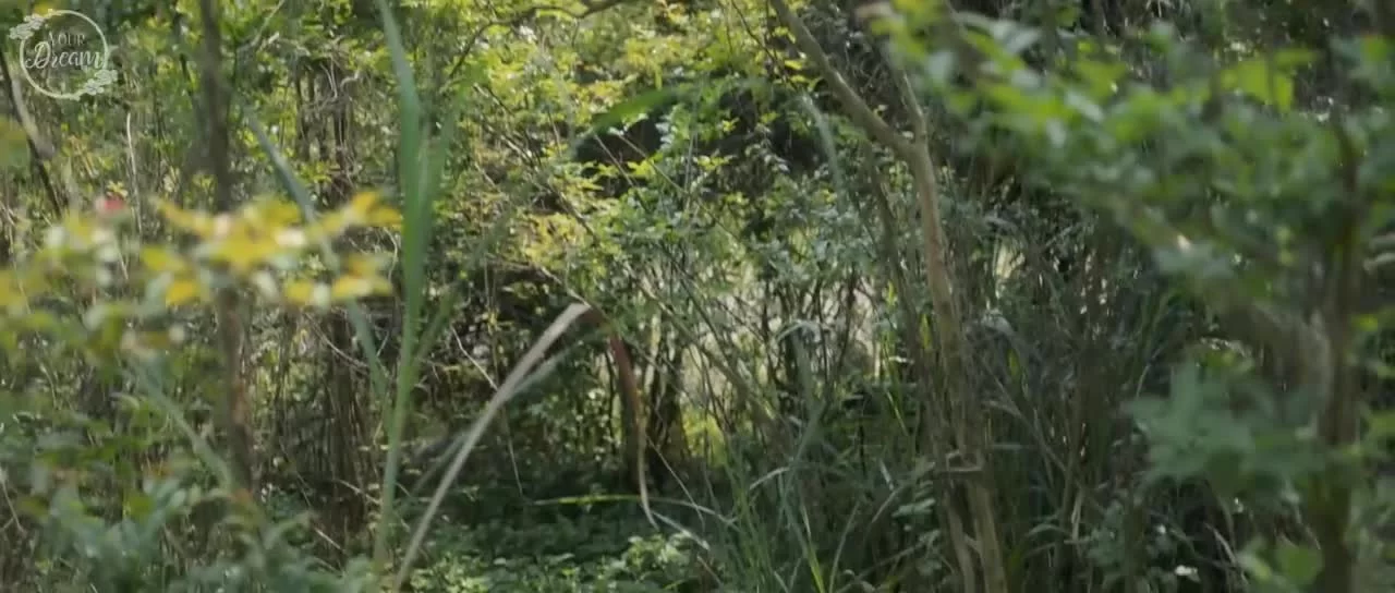 Сыщик династии Мин (2020) 44 серия