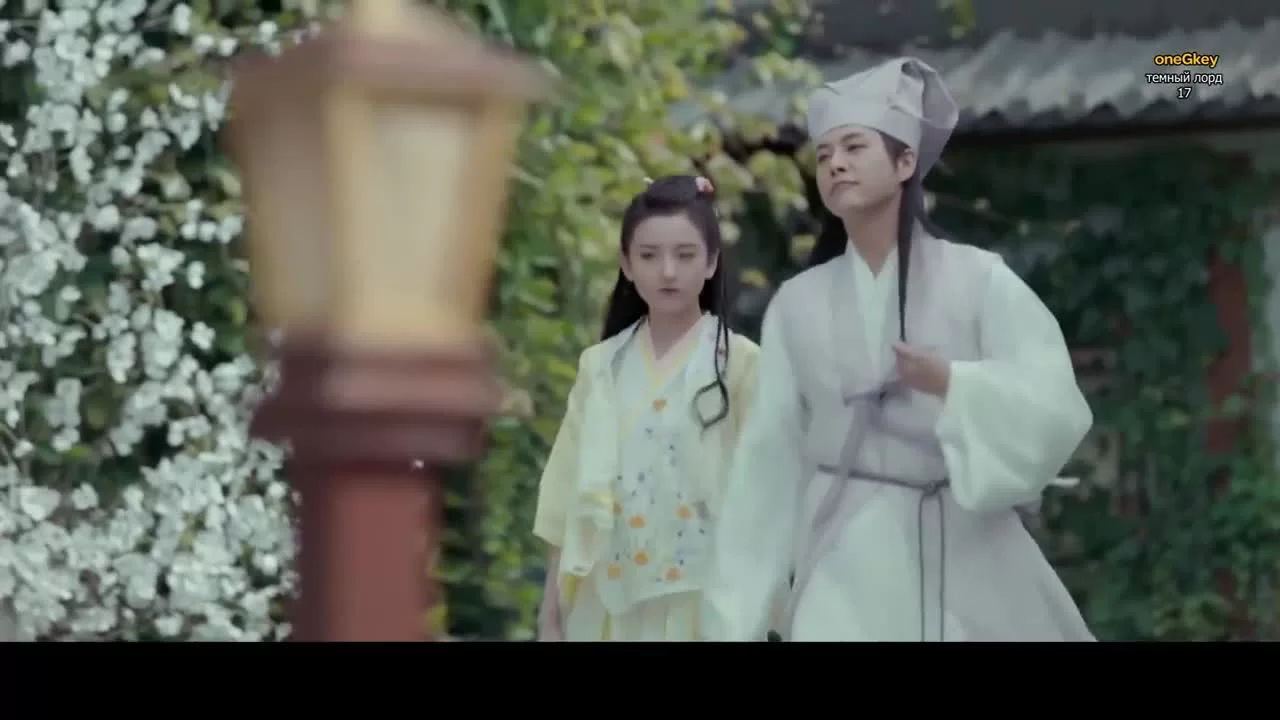 Тёмный лорд 17 серия