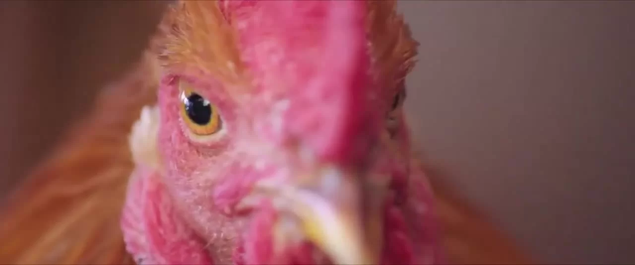 Тысяча лет для тебя (2022) 1 серия