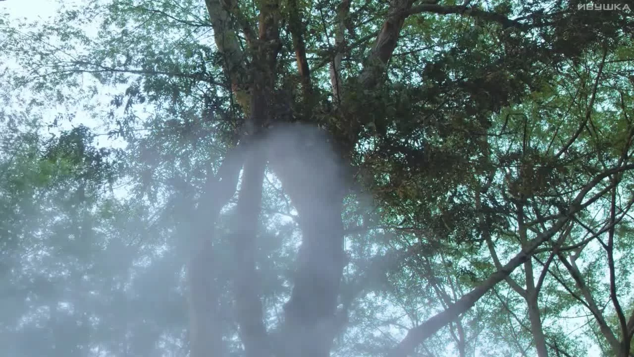 Удивительный талант 6 серия