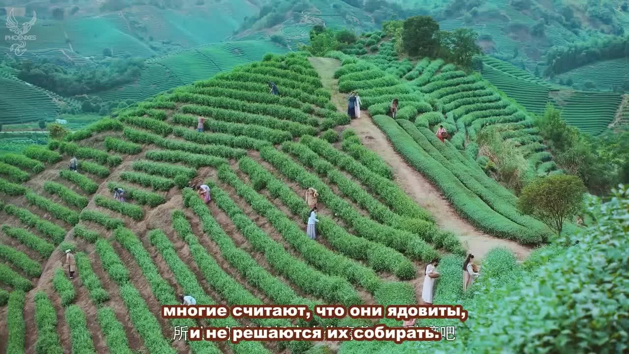 Шеф Хуа (2020) 2 серия