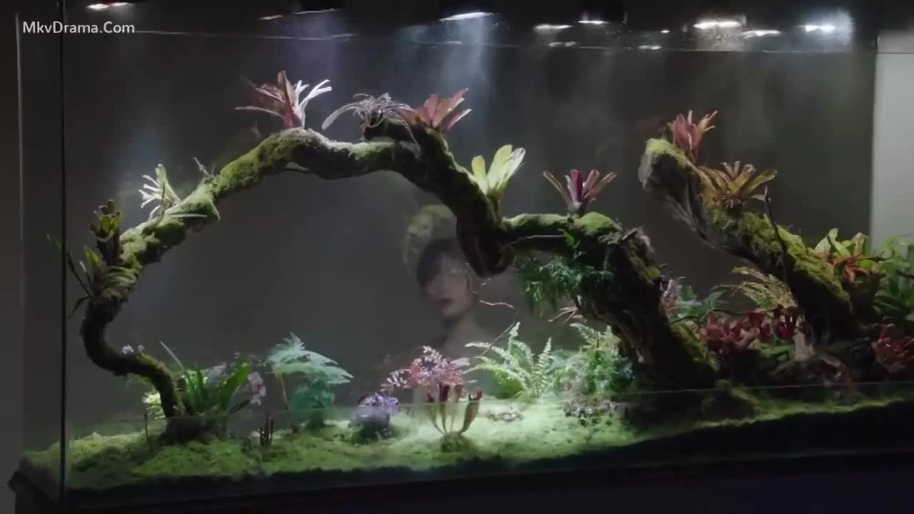 Я - годы, ты - звезды 9 серия