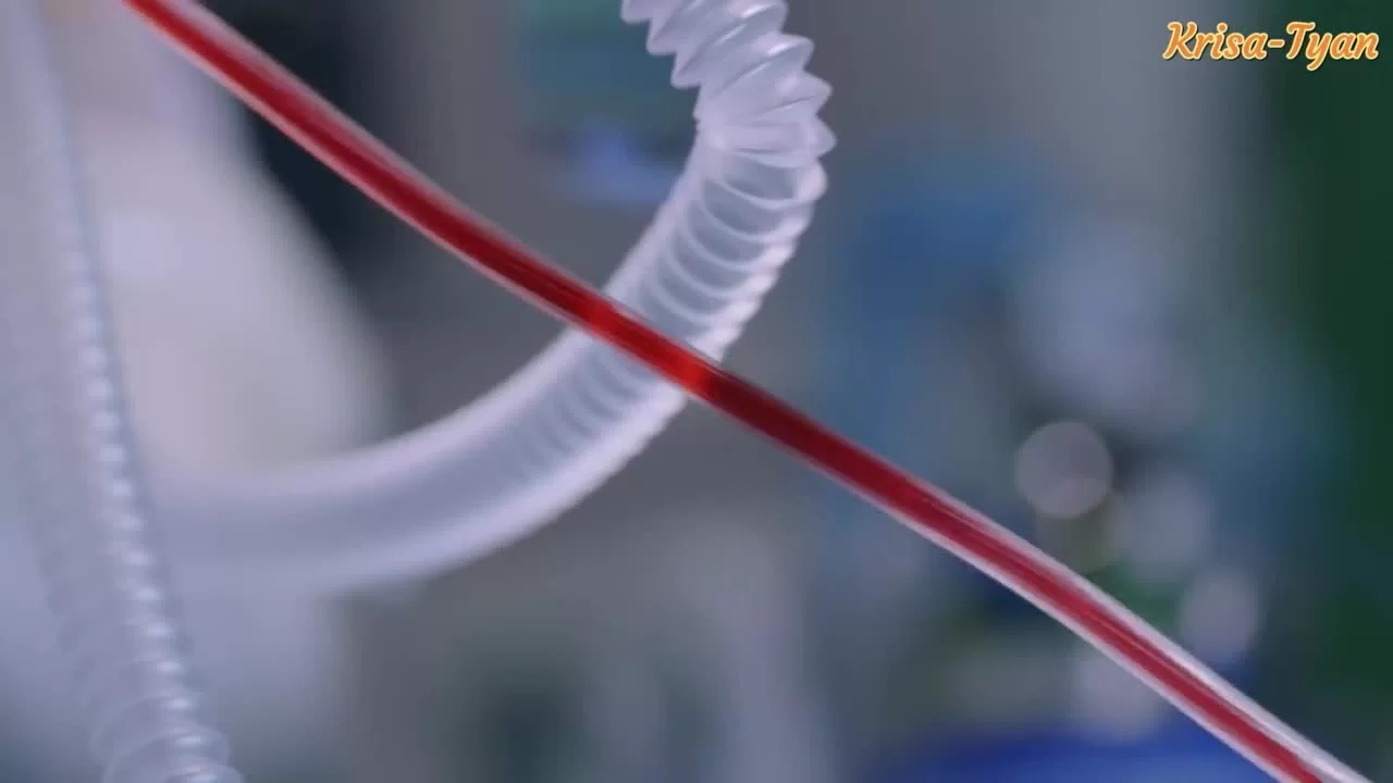 Я слышал, что нравлюсь тебе 20 серия