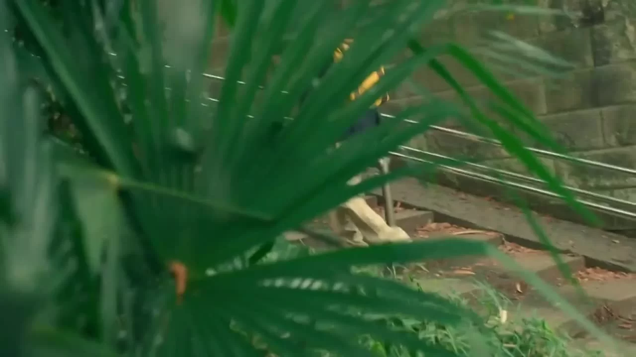 Мужчины семьи Вада 4 серия