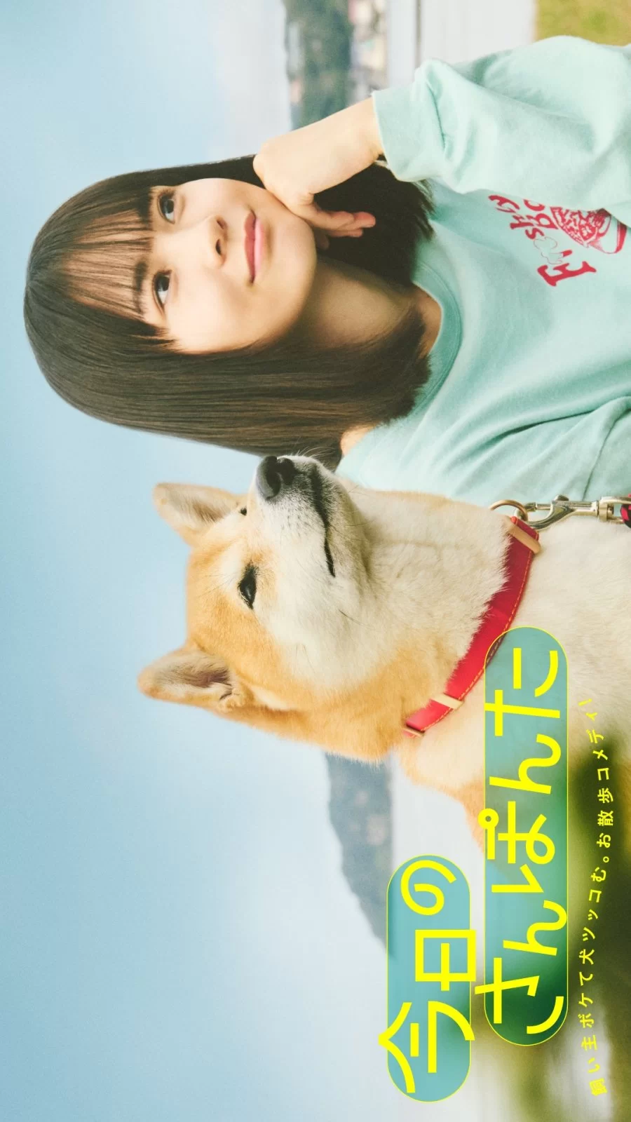 Сегодняшняя прогулка с Понтой (2025)