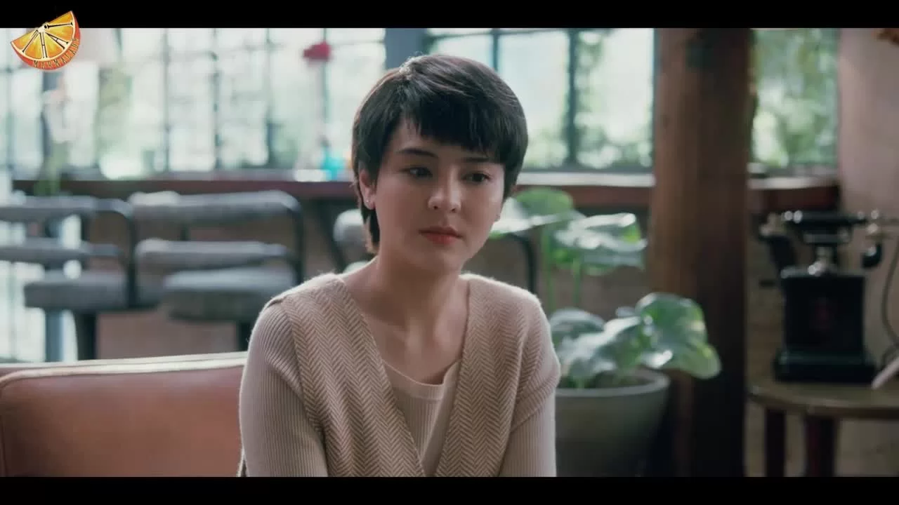 В поисках радуги 14 серия