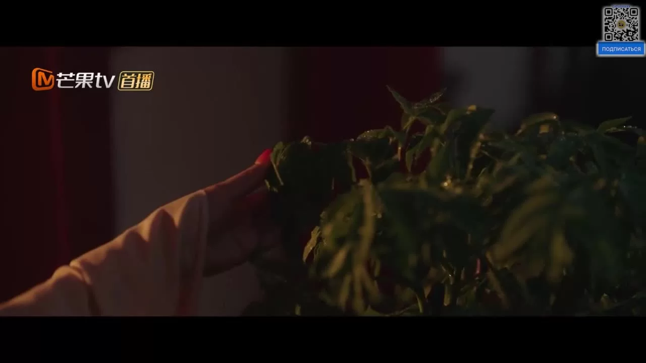 Цветущий пион (2025) 1 серия