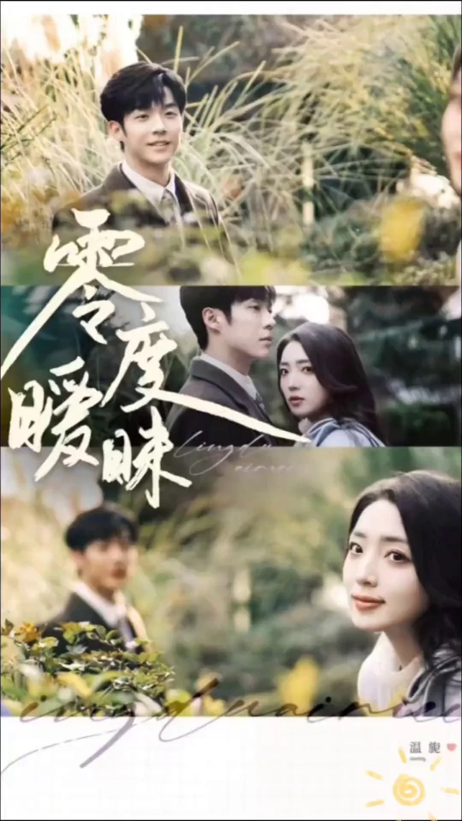 Мягкость диких тел (2025) постер