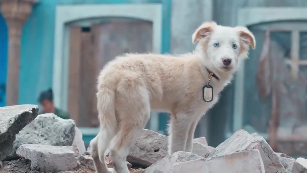 Белое оливковое дерево (2025) 5 серия