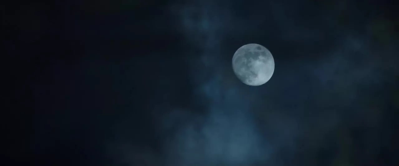 Божественное дерево 4 серия