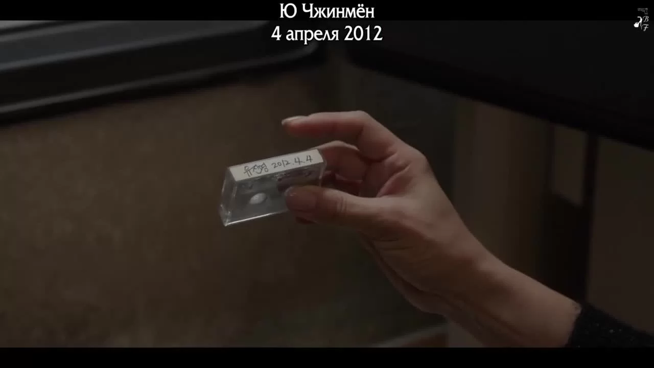 Первая леди 5 серия