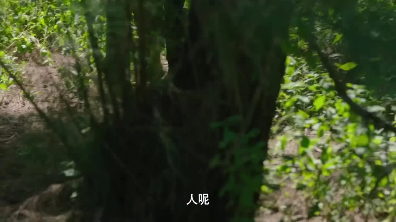 Затаившаяся любовь (2025) 8 серия