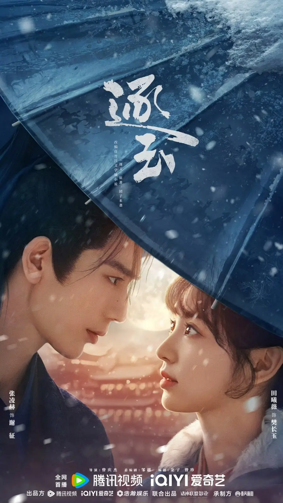 В погоне за нефритом (2026) постер