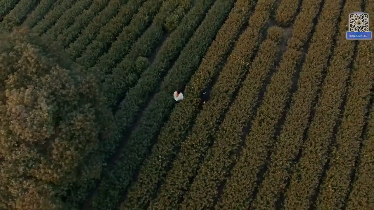 Расстояние между нами в суде (2026) 11 серия