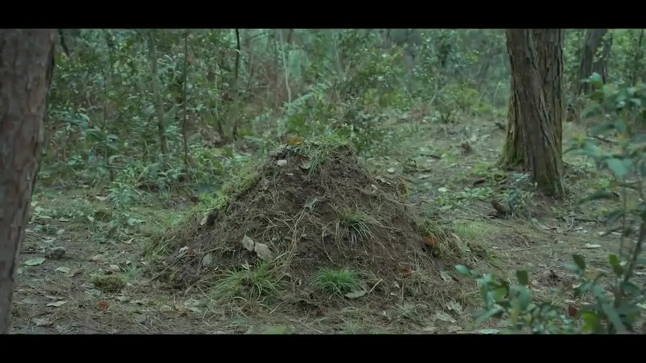 Список Ланъя (2015) 15 серия